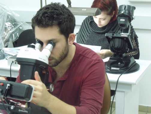 בוגרי הקורסים