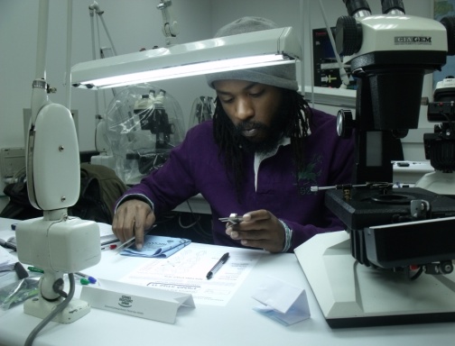 בוגרי הקורסים