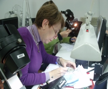 בוגרי הקורסים