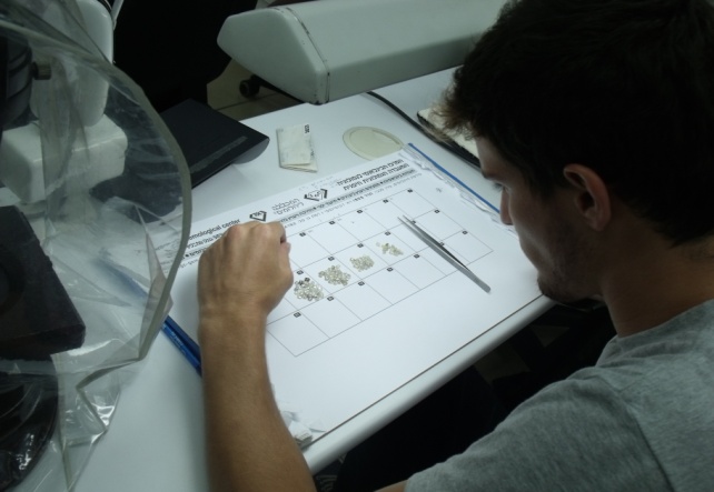 כיתות הלימוד