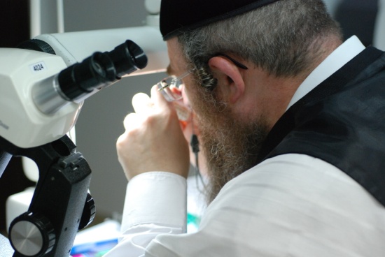 בוגרי הקורסים