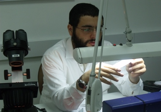 בוגרי הקורסים