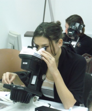 בוגרי הקורסים