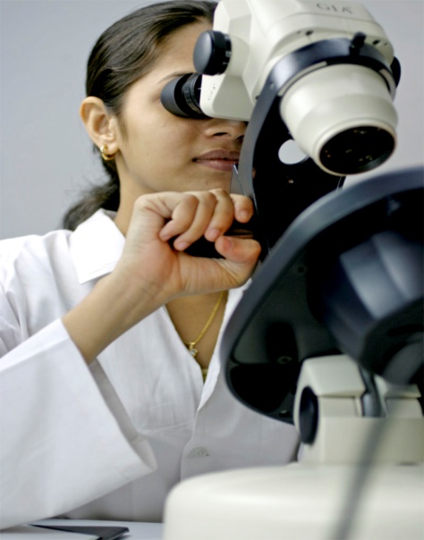 סטודנטים מרחבי העולם