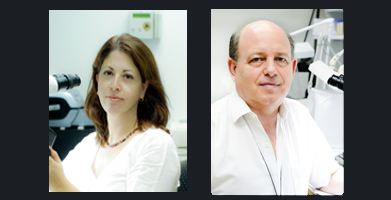 tzipiandyehuda-about-synthetic-diamonds