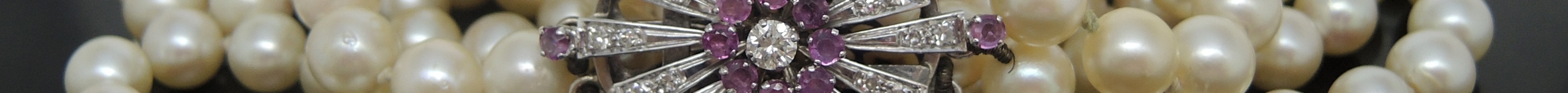 dscn4536