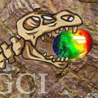 אמוליט לאתר